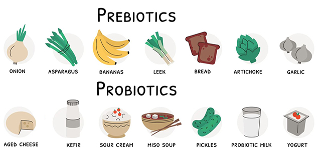 MICROBIOME LINGO: PREBIOTICS, PROBIOTICS AND SYNBIOTICS