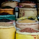LEGUMES: SUSTAINABLE NUTRITION
