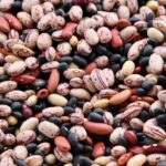 LEGUMES: CORNERSTONE OF A HEALTY PLANT-BASED DIET