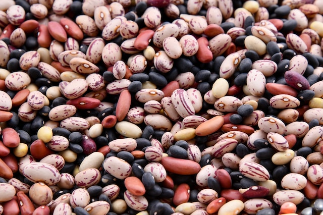 LEGUMES: CORNERSTONE OF A HEALTY PLANT-BASED DIET